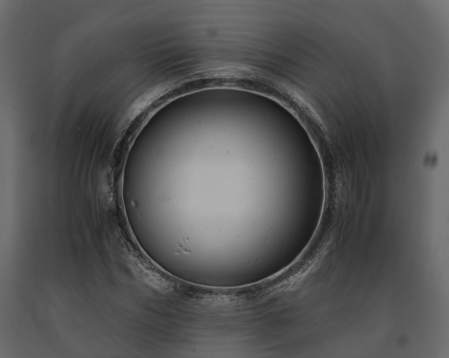 X0000091650970200708231217