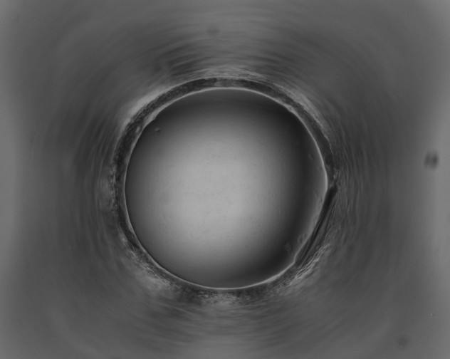 X0000091650971200708231217