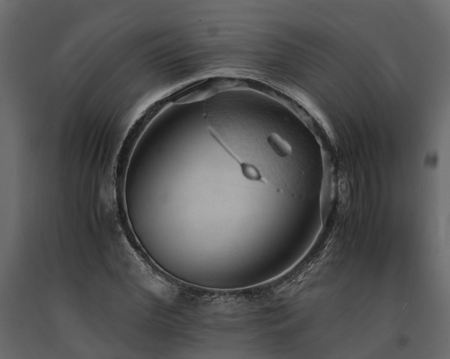 X0000091650972200708231217