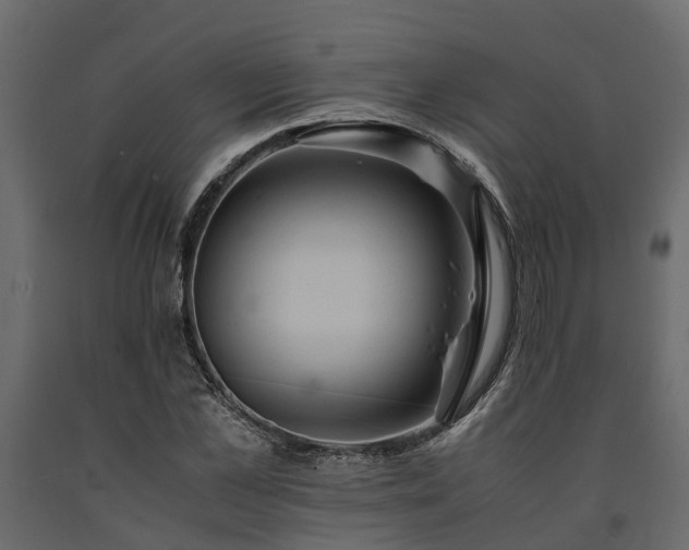 X0000091650973200708231217