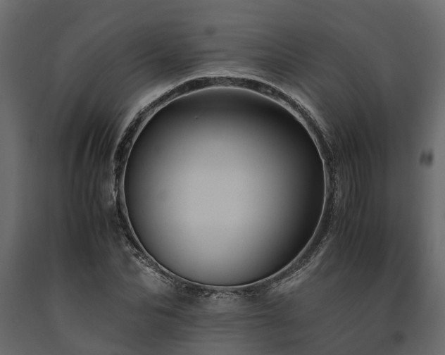 X0000091650974200708231217