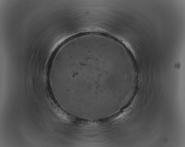 X0000091650975200708231217