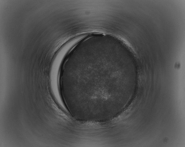 X0000091650977200708231217