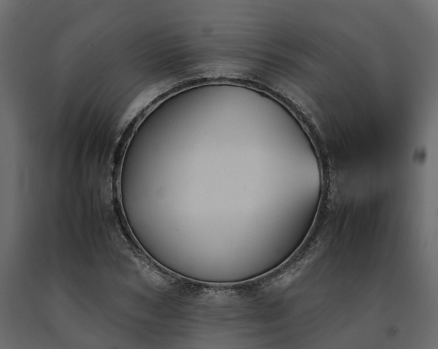X0000091650978200708231217