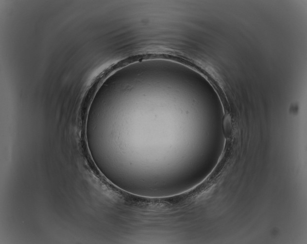 X0000091650979200708231217
