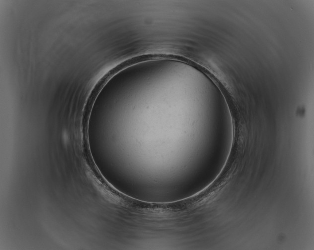 X0000091650980200708231217