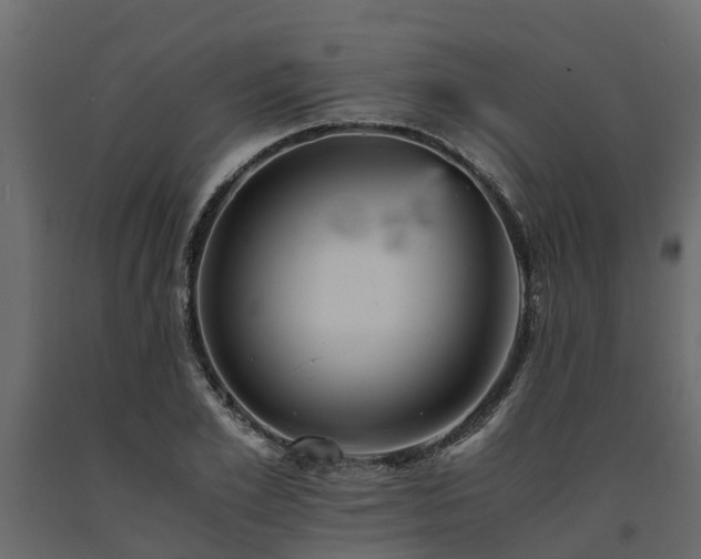 X0000091650981200708231217