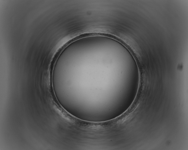 X0000091650982200708231217