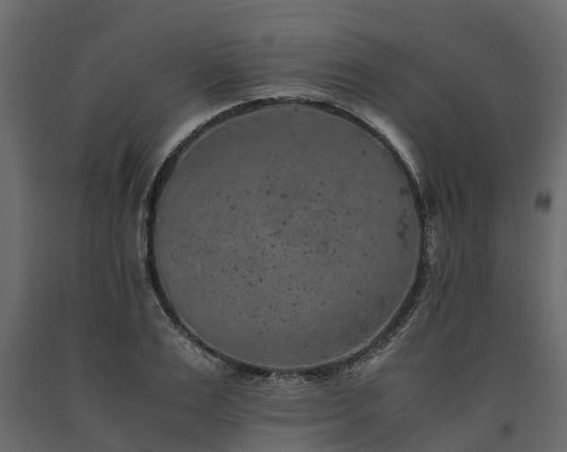 X0000091650983200708231217