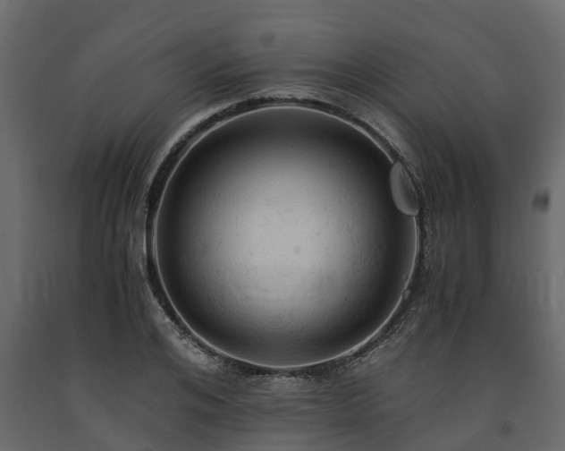 X0000091650984200708231217