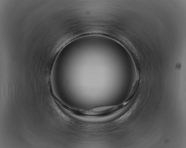 X0000091650985200708231217