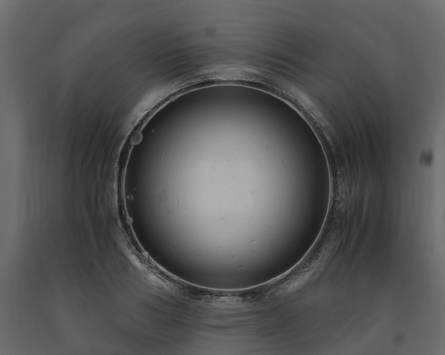 X0000091650986200708231217