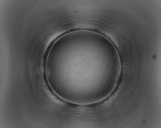 X0000091650987200708231217