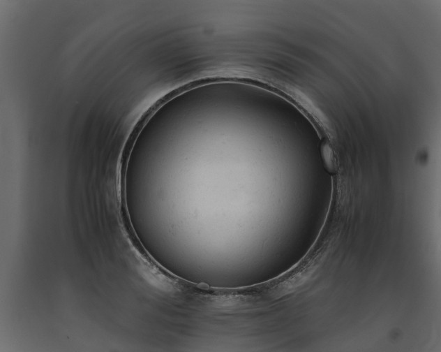 X0000091650988200708231217