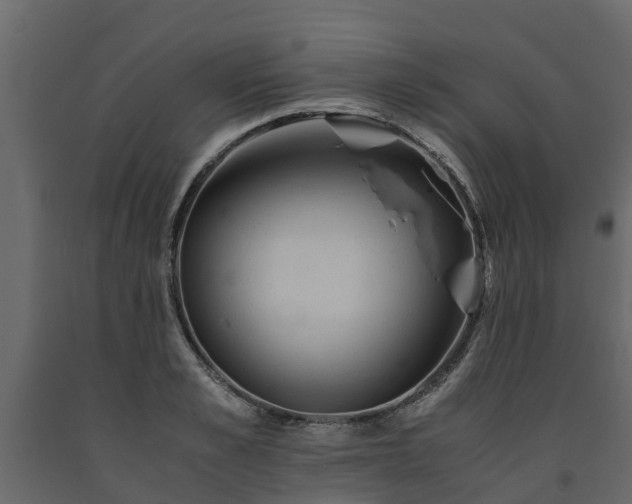 X0000091650989200708231217