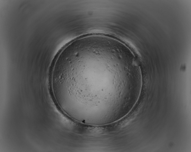 X0000091650991200708231217