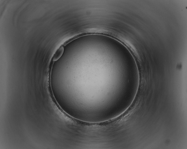 X0000091650992200708231217