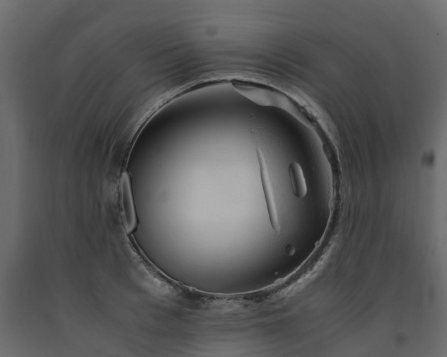 X0000091650993200708231217