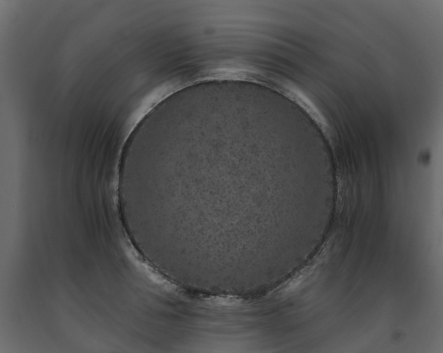 X0000091650994200708231217