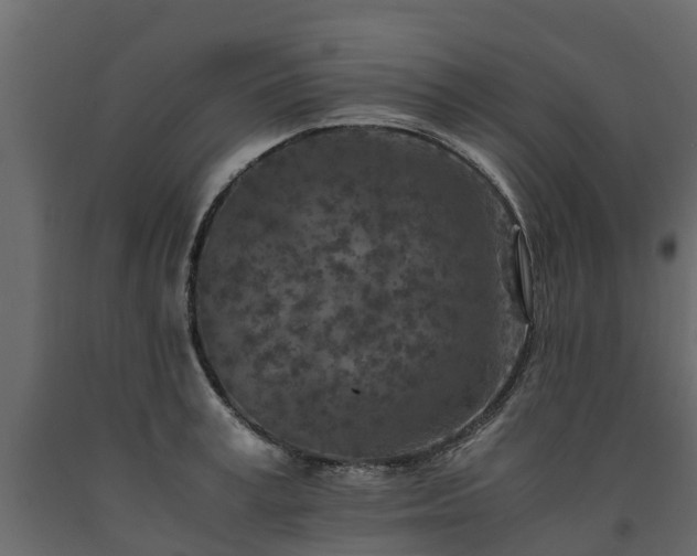X0000091650995200708231217