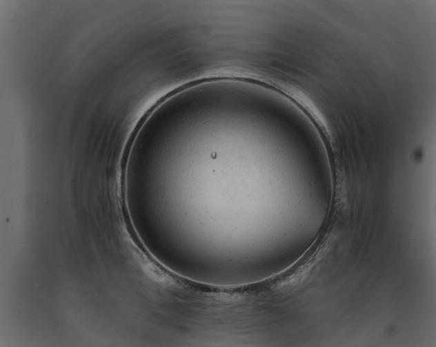 X0000091650996200708231217