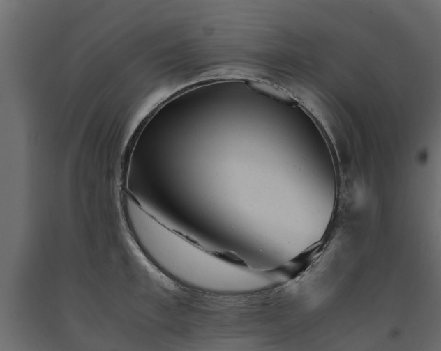 X0000091650997200708231217