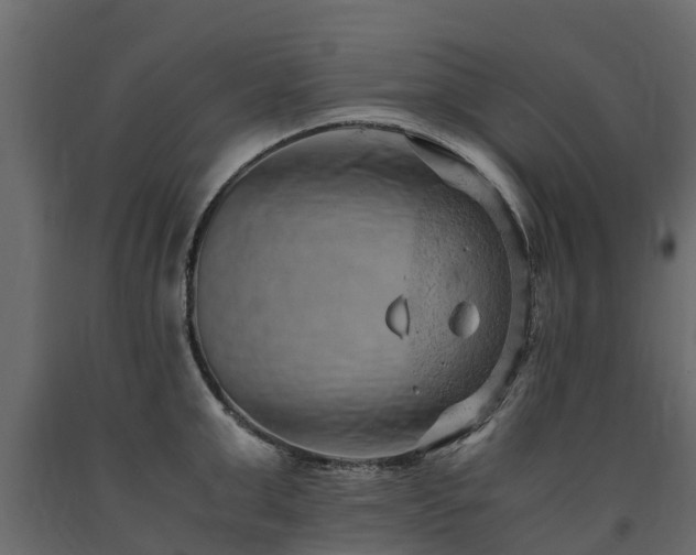 X0000091650999200708231217