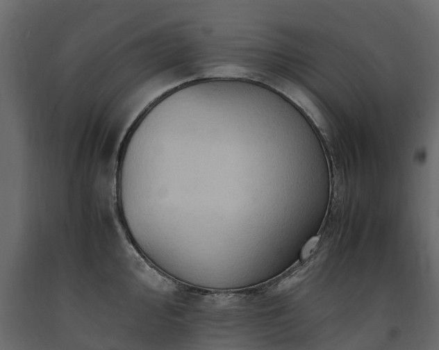 X0000091651000200708231217