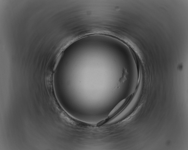 X0000091651001200708231217