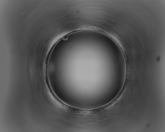 X0000091651003200708231217