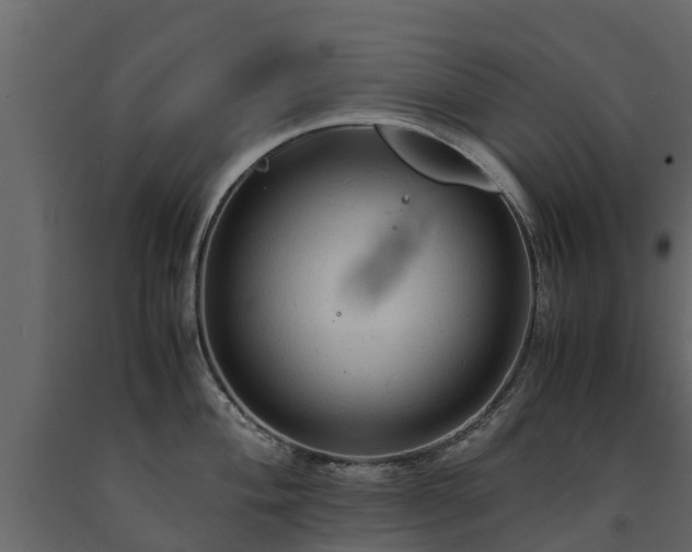 X0000091651004200708231217