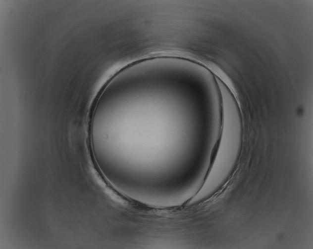 X0000091651005200708231217