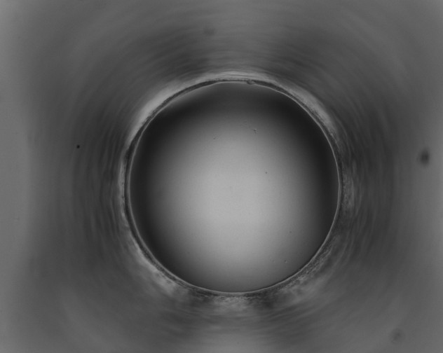 X0000091651006200708231217