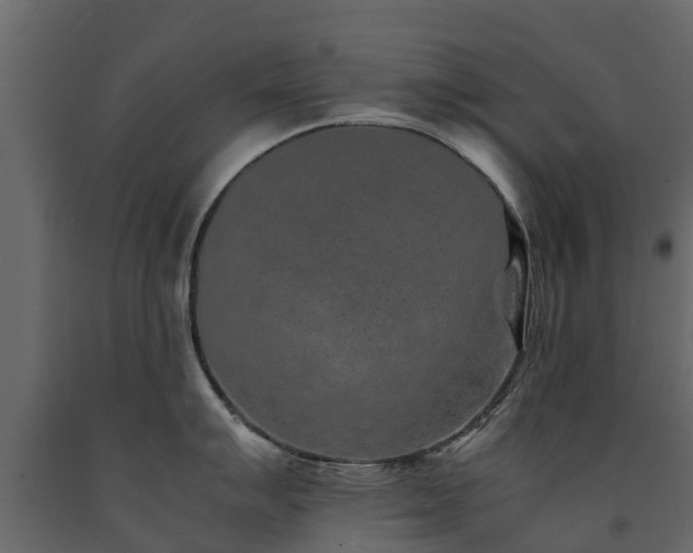 X0000091651007200708231217