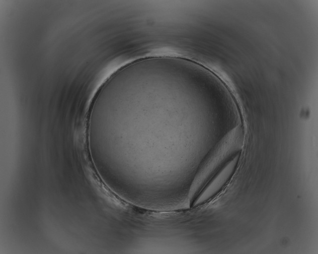X0000091651008200708231217