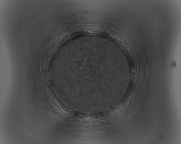 X0000091651009200708231216