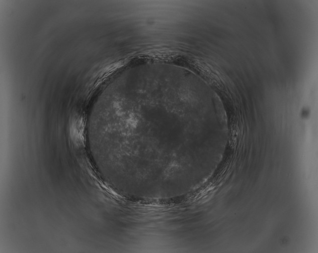 X0000091651010200708231216