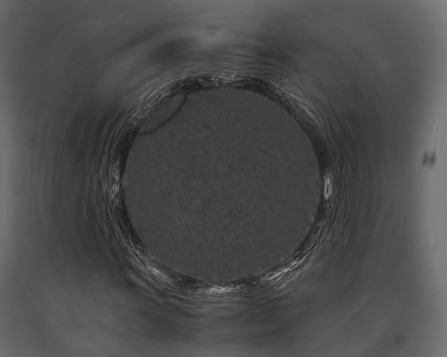 X0000091651011200708231216