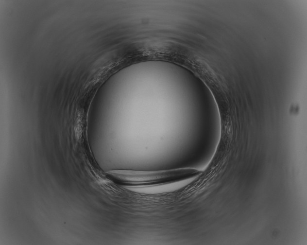 X0000091651012200708231216