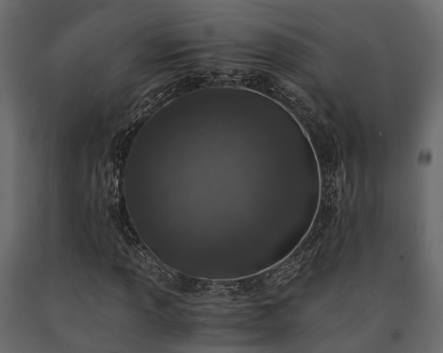 X0000091651013200708231216