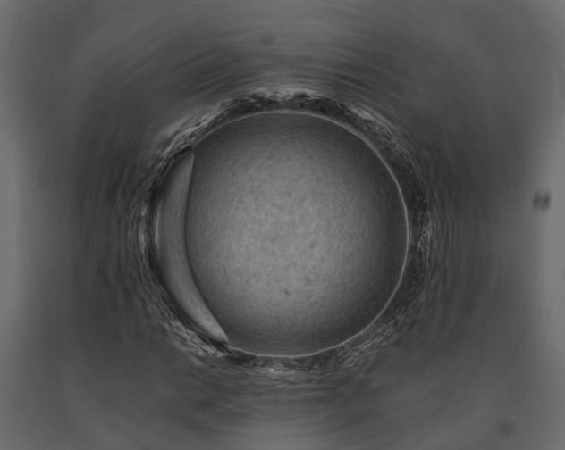 X0000091651014200708231216