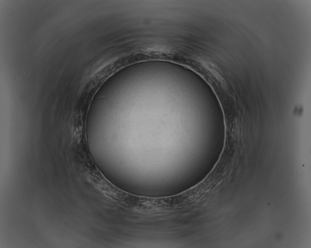 X0000091651015200708231216