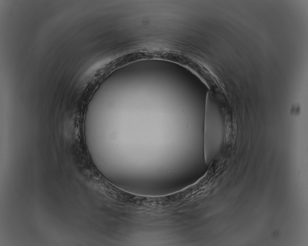 X0000091651016200708231216