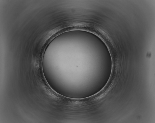 X0000091651017200708231216