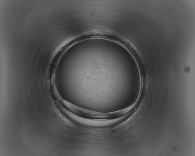 X0000091651018200708231216