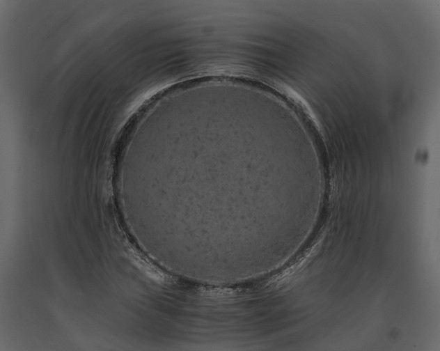 X0000091651019200708231216