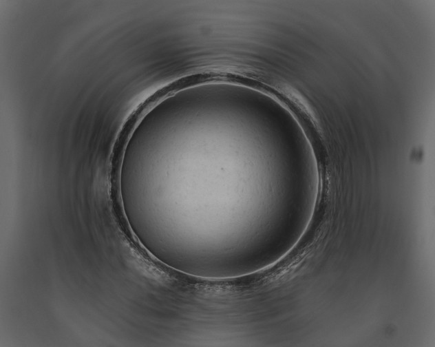 X0000091651020200708231216