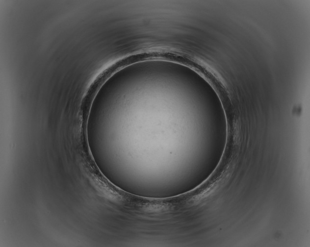 X0000091651021200708231216
