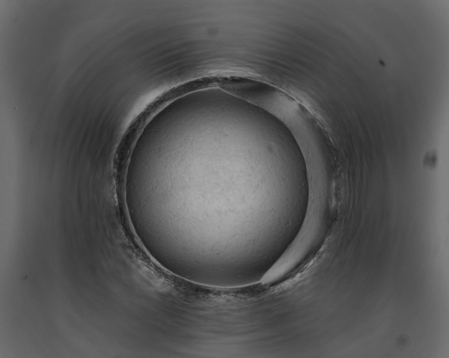 X0000091651022200708231216