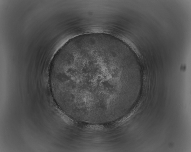 X0000091651023200708231216